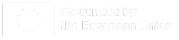 Co-funded by the European Union Logo
